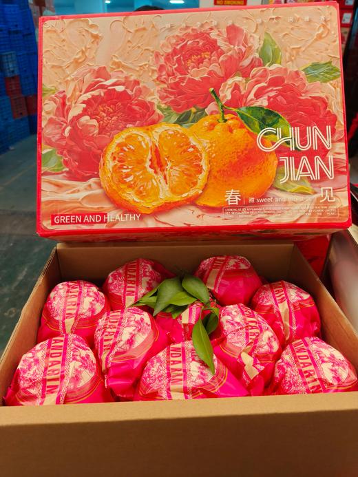 春见耙耙柑精品礼盒-毛重9斤/盒【BH】【OZR】 商品图1