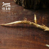 生态鲜茅根 | 合作生产 *Ecological fresh cogongrass rhizome | Partner Production 商品缩略图1