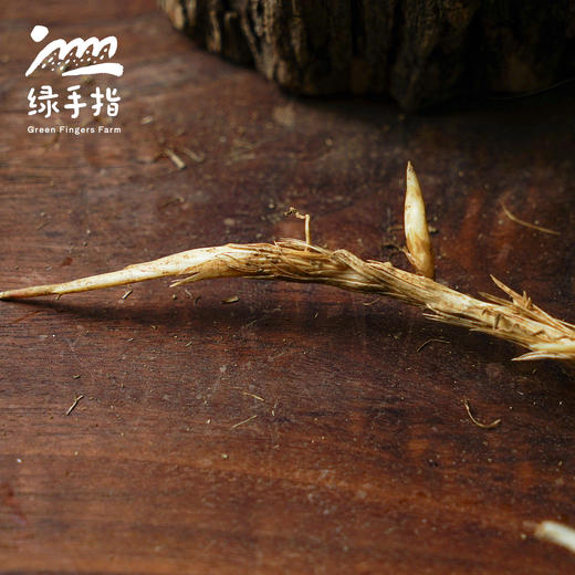 生态鲜茅根 | 合作生产 *Ecological fresh cogongrass rhizome | Partner Production 商品图1