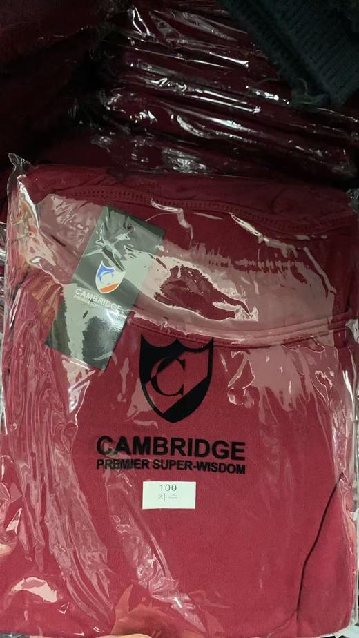 现货 无折扣 年终福利..出韩国🇰🇷女士加绒磨毛保暖套装 商品图6