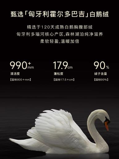 朗姿 鹅绒简约廓形磁吸暗扣连帽长款羽绒服LCJH03OLC721 商品图6