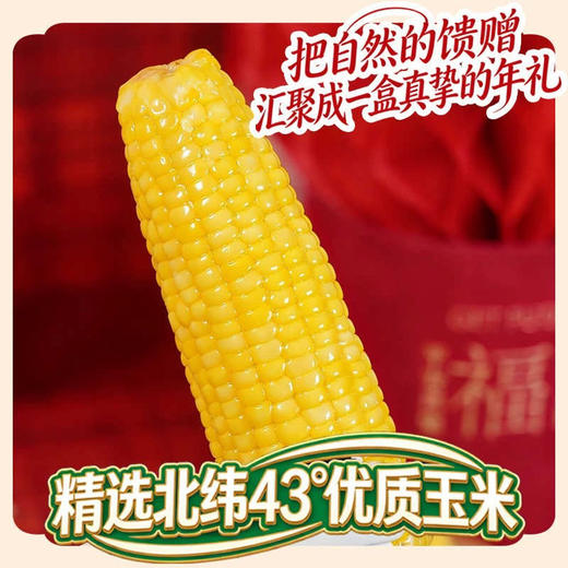 田里有草黄糯玉米2026新年款10根装 商品图3
