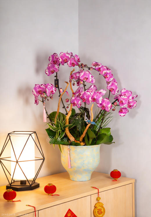 马岁呈祥 商品图0