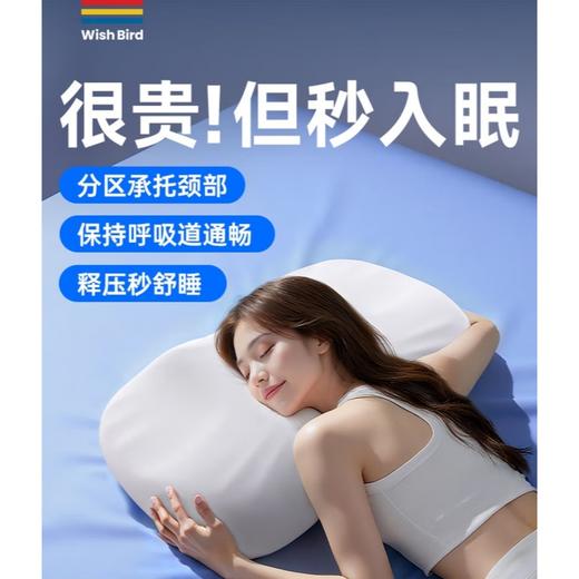 【京东热卖398元 好评5000+】Wish Bird/愿望良品 记忆棉枕芯 JK-82 不含枕套 商品图0