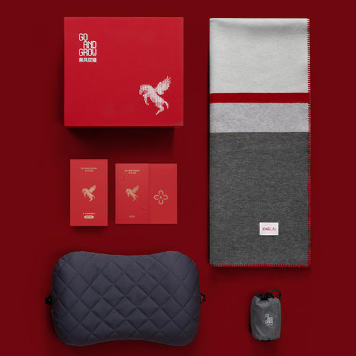 XAG 极飞科技GO AND GROW  乘风驭福礼盒 商品图1