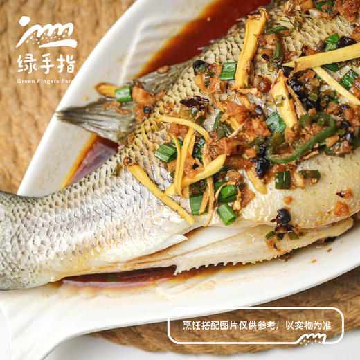 生态鲈鱼 | 绿家自产*Ecological Bass| Self-production 商品图1