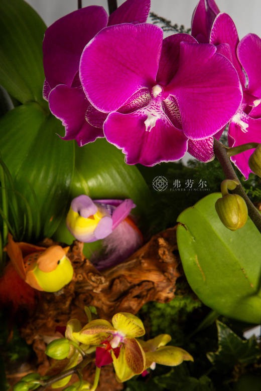 马知路远 商品图2