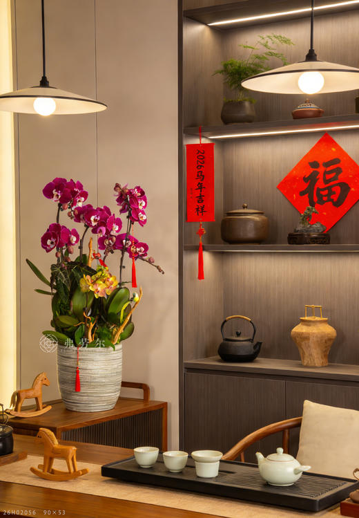 马识归途 商品图1