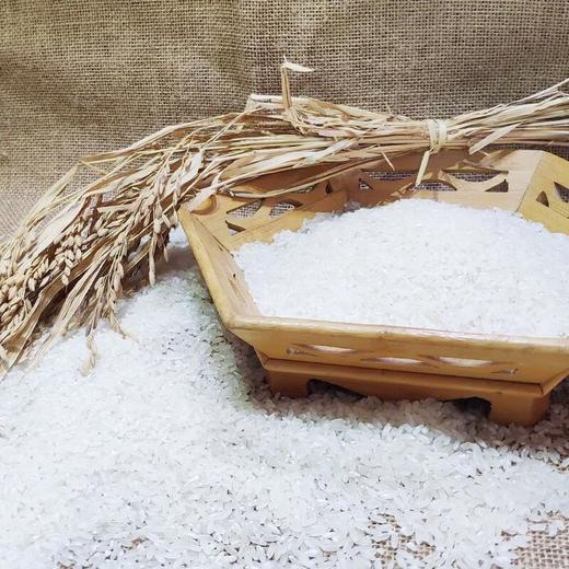 天仁道寒地长粒香米 500g/袋 商品图4