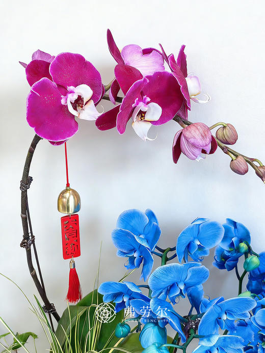 阖家欢乐 商品图3