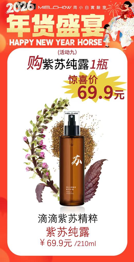 年货盛宴活动（九） 商品图0