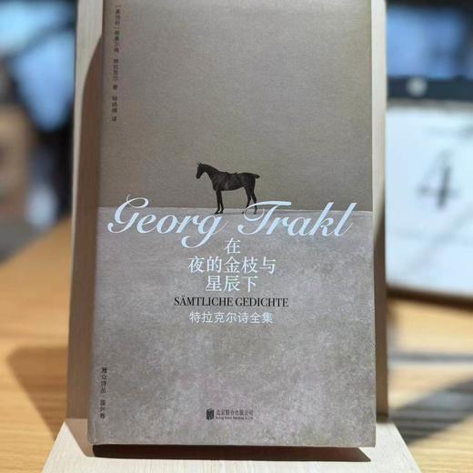【限量刷边】在夜的金枝与星辰下:特拉克尔诗全集 德语表现主义诗歌杰出代表之一 对衰退和痛苦的严肃表达 雅众诗歌国外卷外国诗歌 商品图0