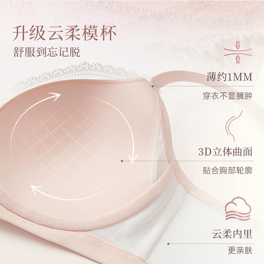 【西西里2.0蕾丝无钢圈】超薄显小不凸点蕾丝三角杯大杯文胸内衣 商品图2