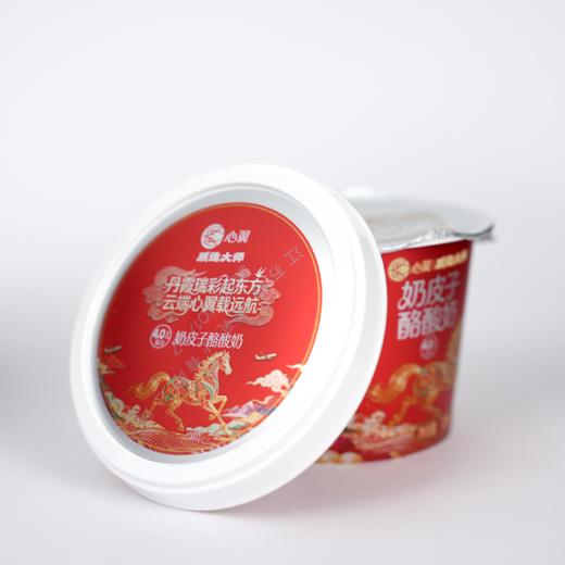 心翼&质造大师 奶皮子酪酸奶125g 12杯/6杯 商品图1