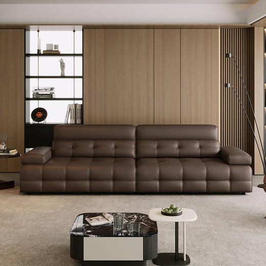 【美居】B2逸享 头层真皮沙发 BSTJS3769 商品图0