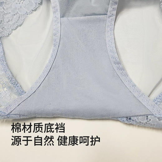 蕾丝控必入！皇家丽美透气内裤 细腻呼吸网纱 花边脚口无压迫 棉档健康亲肤K228-K1 商品图2