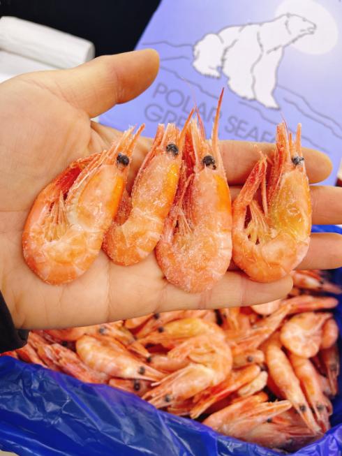 小盒北极熊冰虾一盒 商品图1