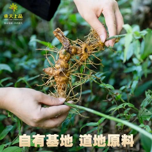 正安优选·承天九制黄精纸盒装   开袋即食   九蒸九制  10克*10包/盒 商品图4