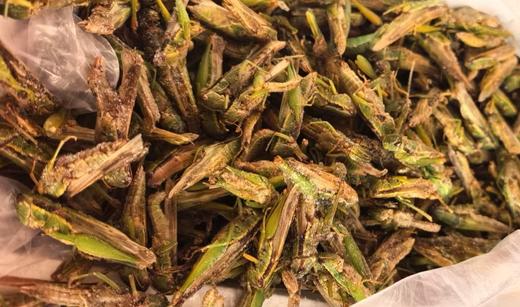 蚂蚱礼盒 商品图1