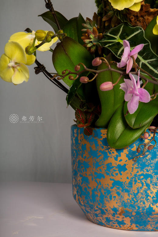 马闹春潮 商品图3