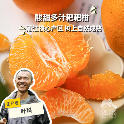 生态耙耙柑 | 合作生产 *Ecological Harumi Tangerine | Partner Production 商品图0