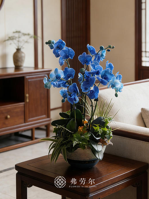 安居乐业 商品图0