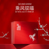 XAG 极飞科技GO AND GROW  乘风驭福礼盒 商品缩略图0
