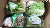 节日蔬菜礼盒（16个品种） 商品缩略图1