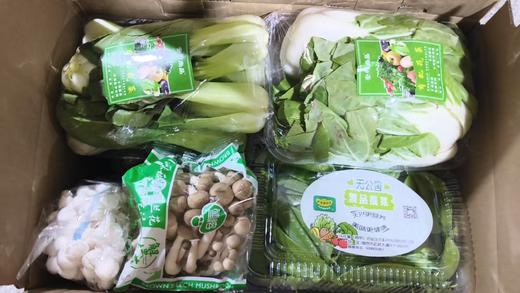 节日蔬菜礼盒（16个品种） 商品图1