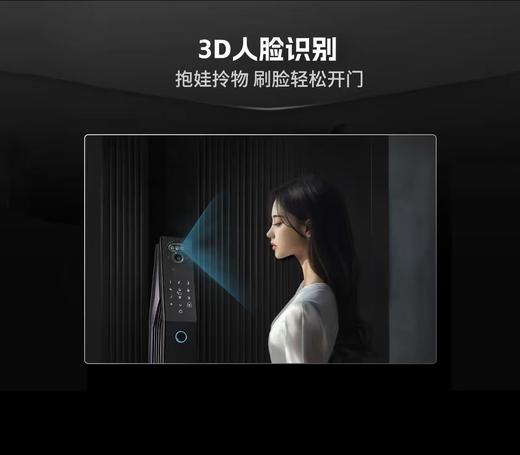 好汉  经典300por智能锁【FY】 商品图3