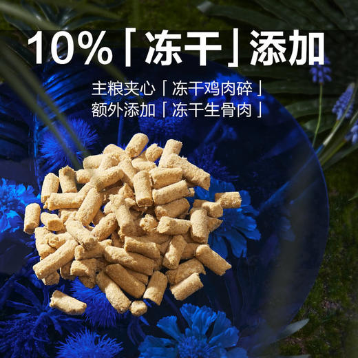 【自提】M 蓝氏 猎鸟乳鸽均衡营养全价猫粮5kg 商品图3