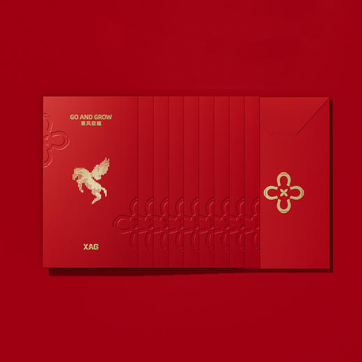 XAG 极飞科技GO AND GROW  乘风驭福礼盒 商品图2