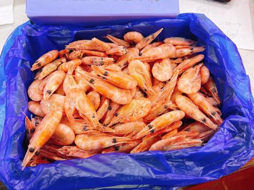 小盒北极熊冰虾一盒 商品图3