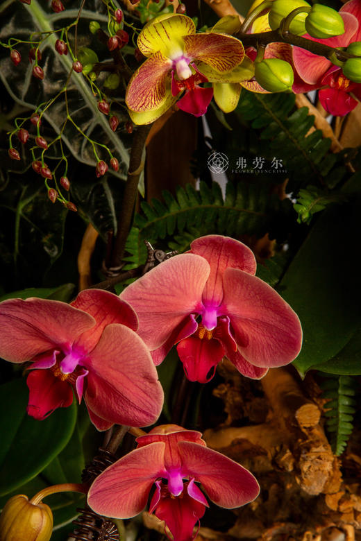 骏马奔康庄 商品图3