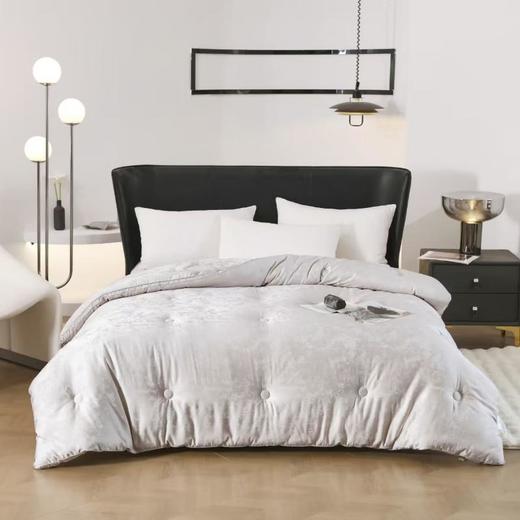 安竹堂森物蛋白大豆春秋被200*230cm 填充物含量1250g 商品图0