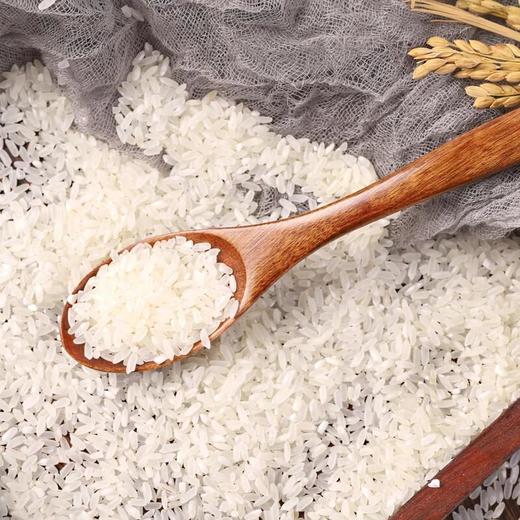 天仁道五常大米 5kg/袋 商品图4