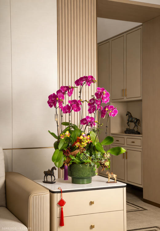 马知路远 商品图0