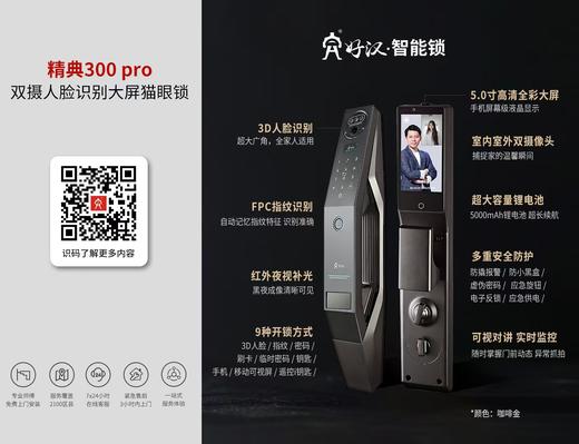 好汉  经典300por智能锁【FY】 商品图6