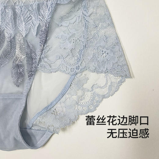蕾丝控必入！皇家丽美透气内裤 细腻呼吸网纱 花边脚口无压迫 棉档健康亲肤K228-K1 商品图3