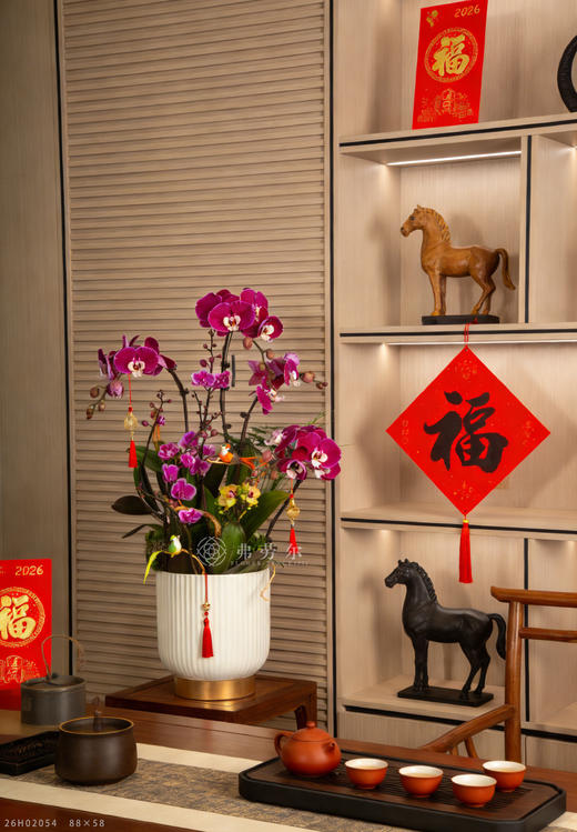 马驰绿野 商品图0