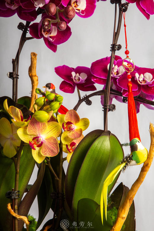 马识归途 商品图3