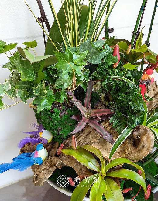 阖家欢乐 商品图4