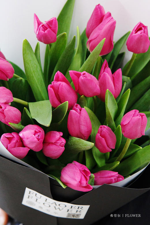 邂逅浪漫 商品图2