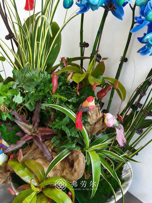 阖家欢乐 商品图1