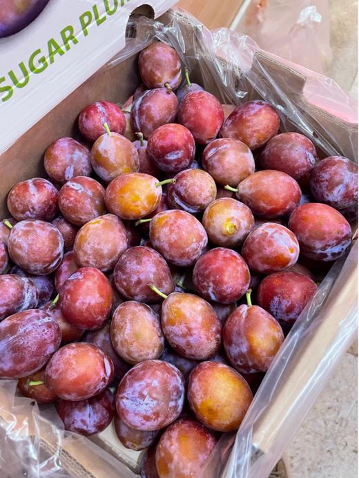 西梅一箱 商品图3