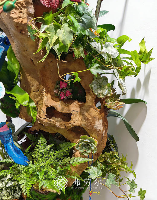 大展宏图 商品图2