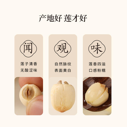 正安 湖南湘潭白莲子 农会金奖日晒低烘粒大饱满 优质原材 甘平下火降燥温养口感粉糯清甜 滋润秋冬煲汤食材家庭糖水四神汤 去芯莲子250g/罐 商品图12