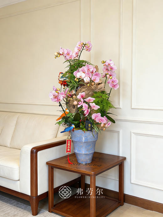 康庄大道 商品图1