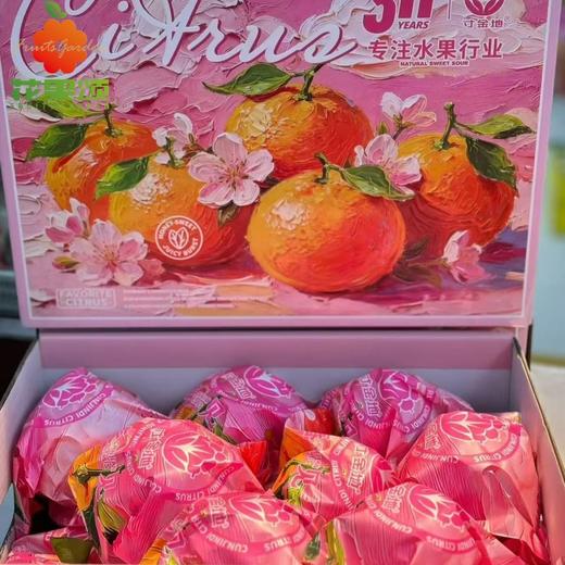 寸金地耙耙柑礼盒 商品图0