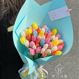 梵汀花园-《彩虹糖》33支郁金香  情人节花礼